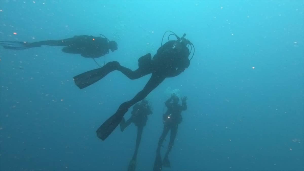 CAP Port vendres organize your dives Dives organization