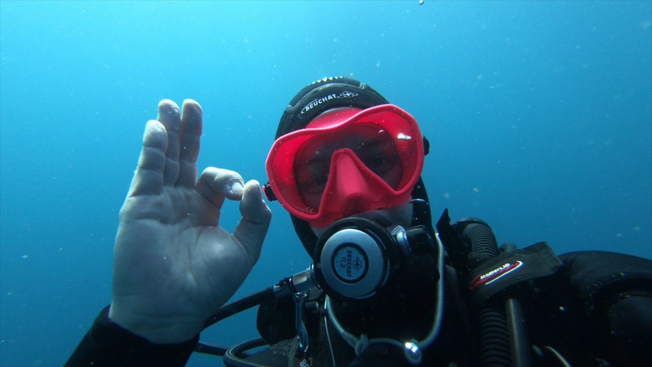 Contact center 'Activity diving Port-Vendres