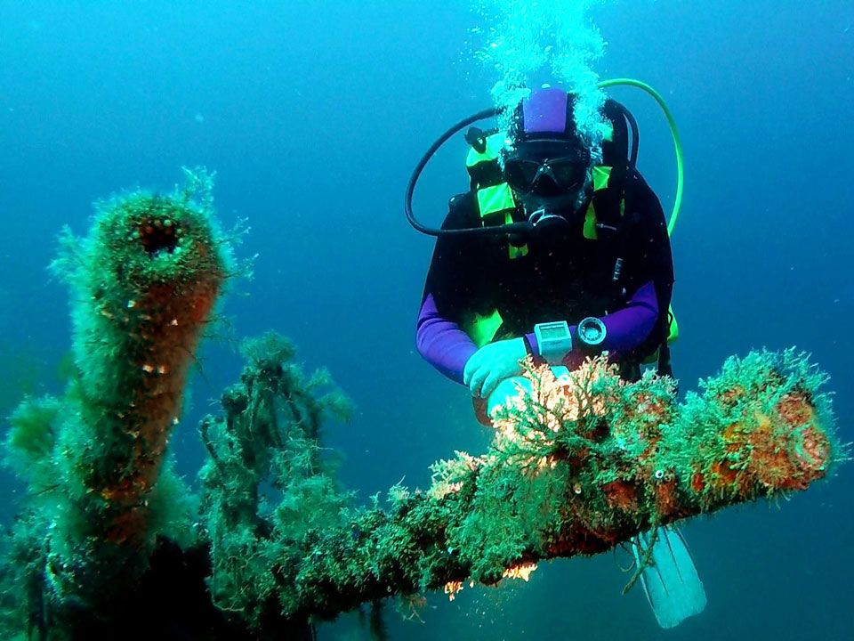 WWII wrecks of the vermeille coast