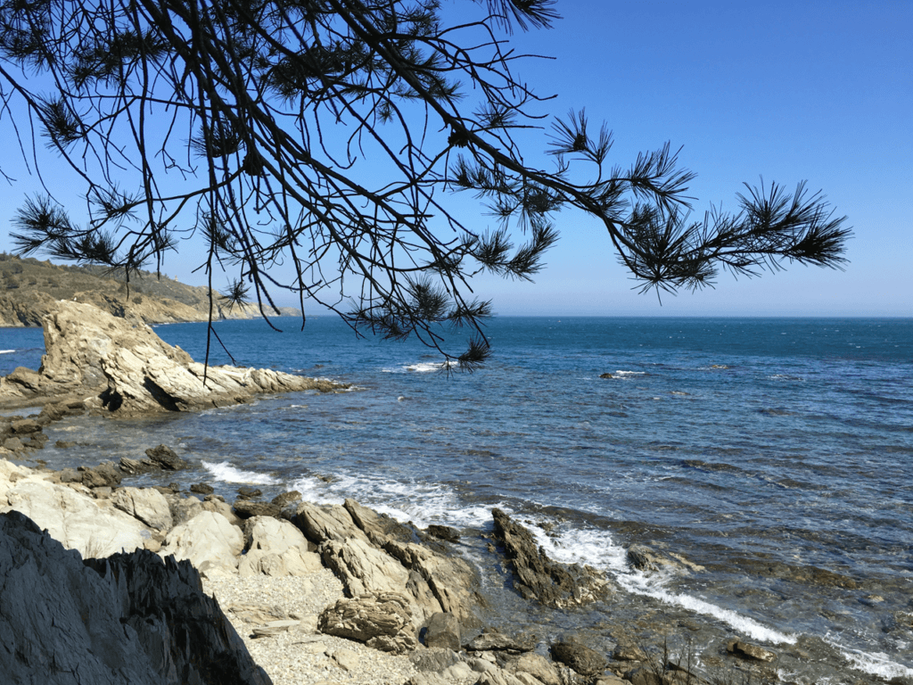 Port-vendres : anse de paulilles