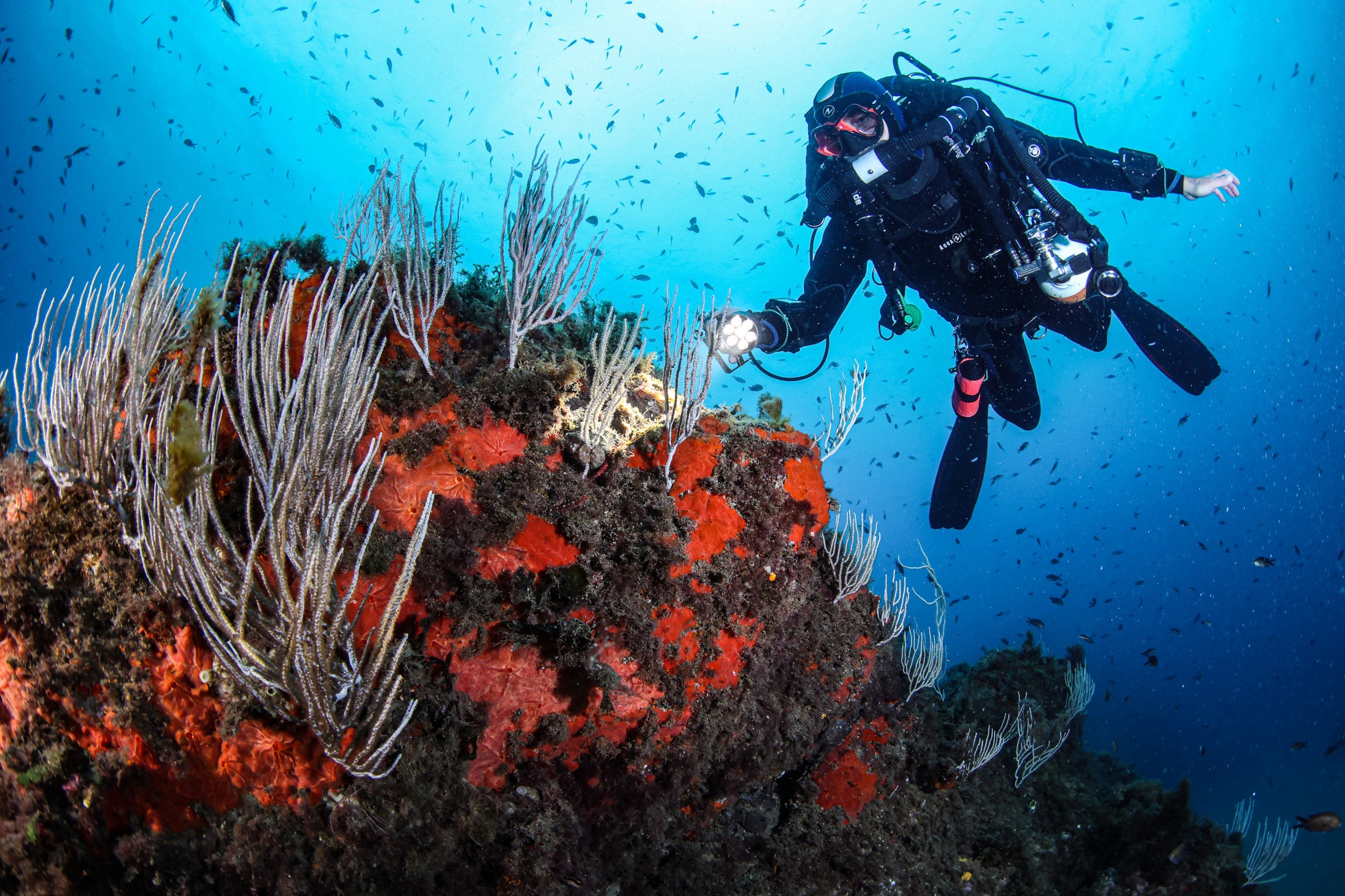 Scuba Diving Center Port-Vendres