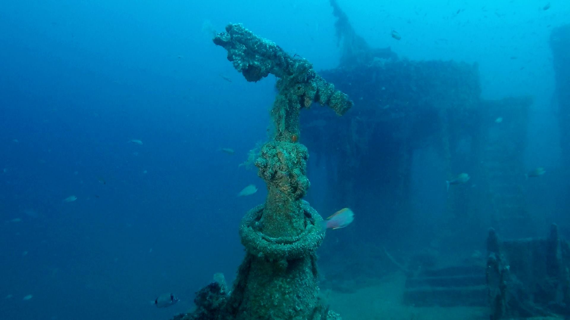 Wreck Alice Robert says le bananier