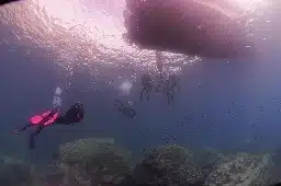 Explorations plongée sous marine