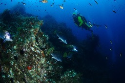 Formations plongée sous marine