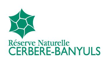 partenaire réserve naturelle marine cerbère-banyuls