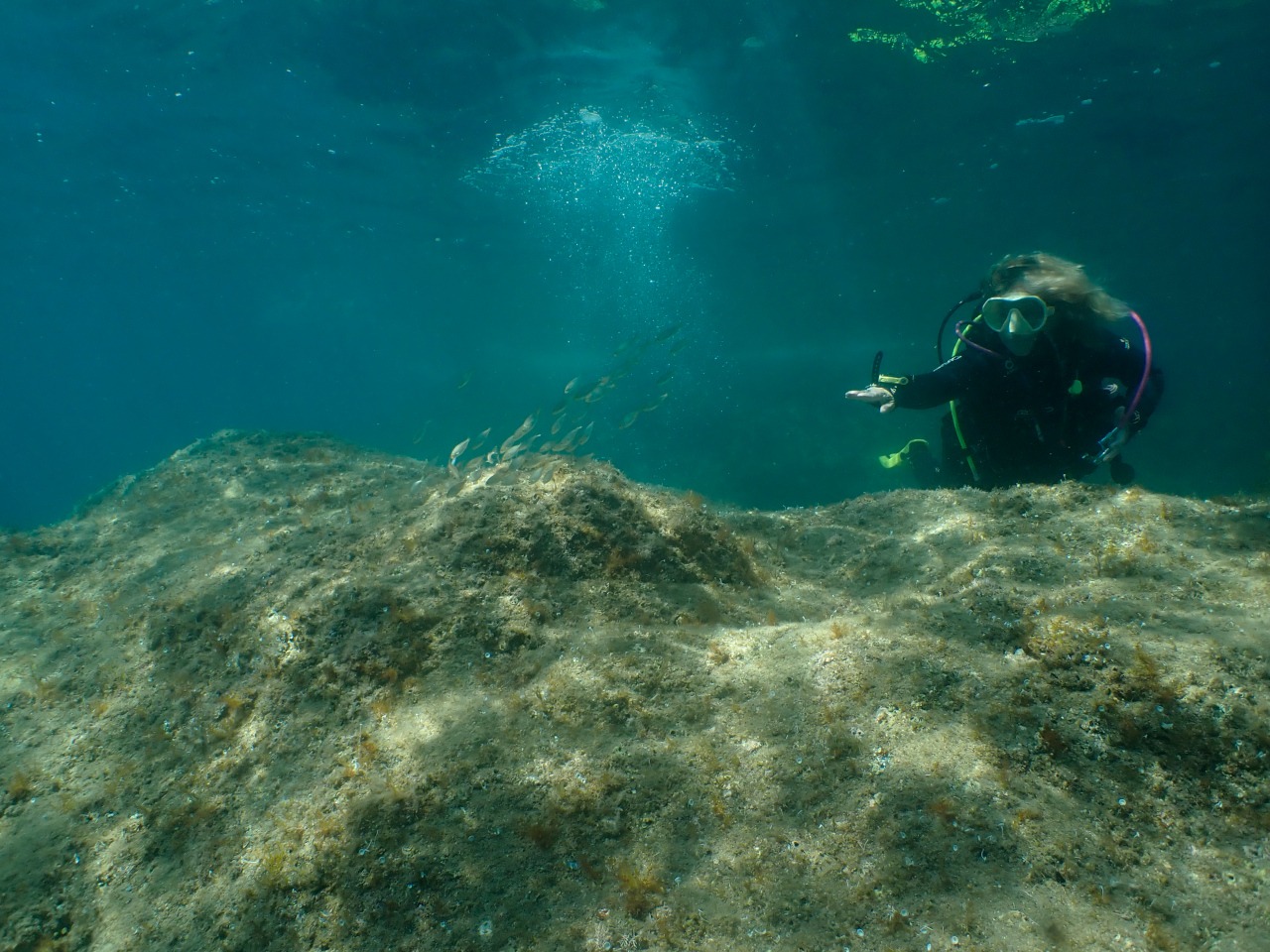 Baptême plongée dans la réserve marine