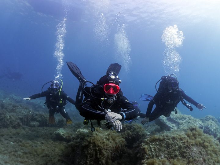 Formation plongée