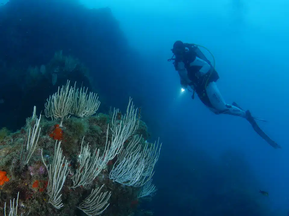 Plongeur autonome exploration