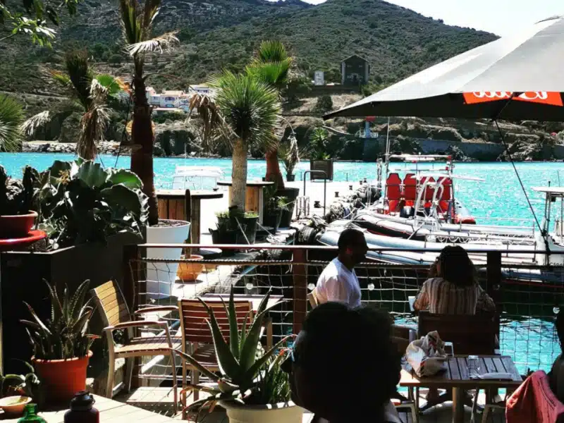 ptit ponton Restaurant guinguette le p'tit ponton : vue sur le cap béar et ambiance club de plongée