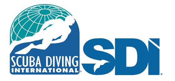 Scuba Diving International Certified School